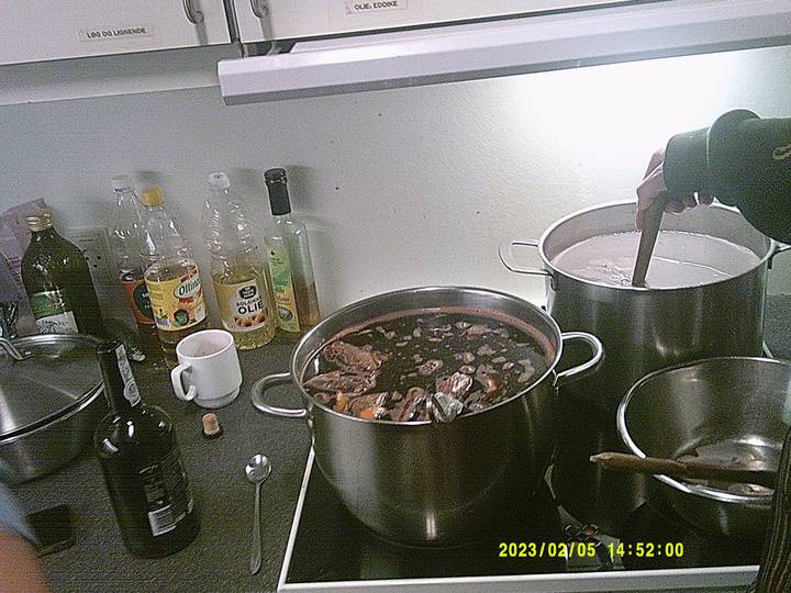 juleklip/20230205145200_00