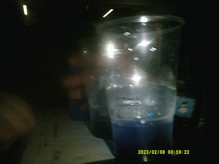 julerevy-fest/20230208005922_00