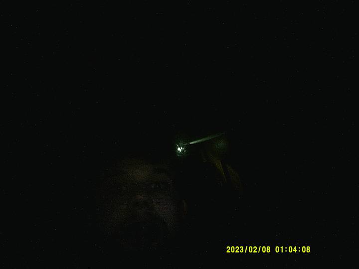 julerevy-fest/20230208010408_00