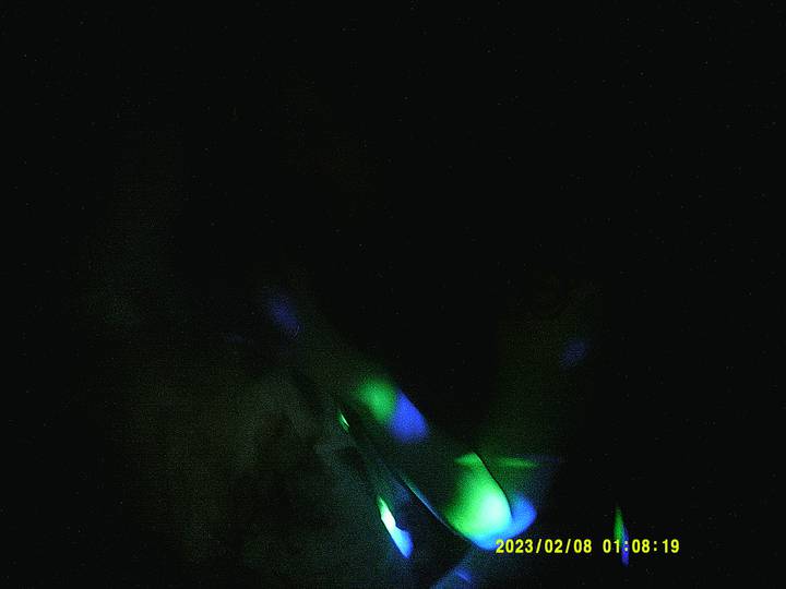 julerevy-fest/20230208010819_00