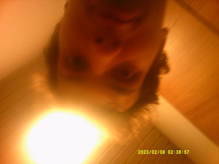 julerevy-fest/20230208023857_00