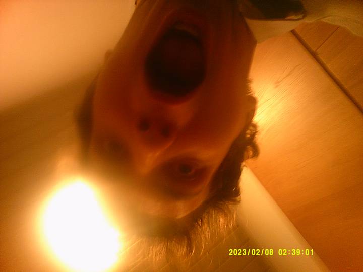 julerevy-fest/20230208023901_00