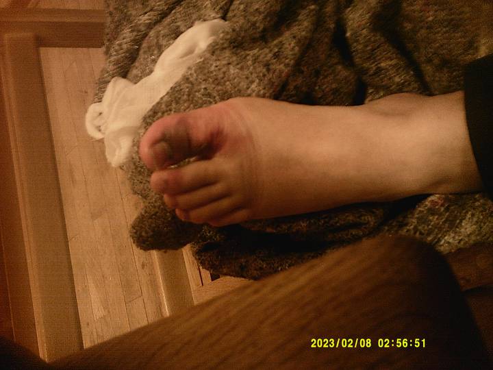 julerevy-fest/20230208025651_00