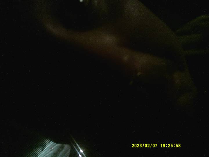 julerevy/20230207192558_00