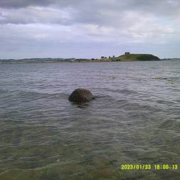 KaløTur
