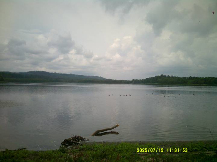 kbest/20250715113153_00