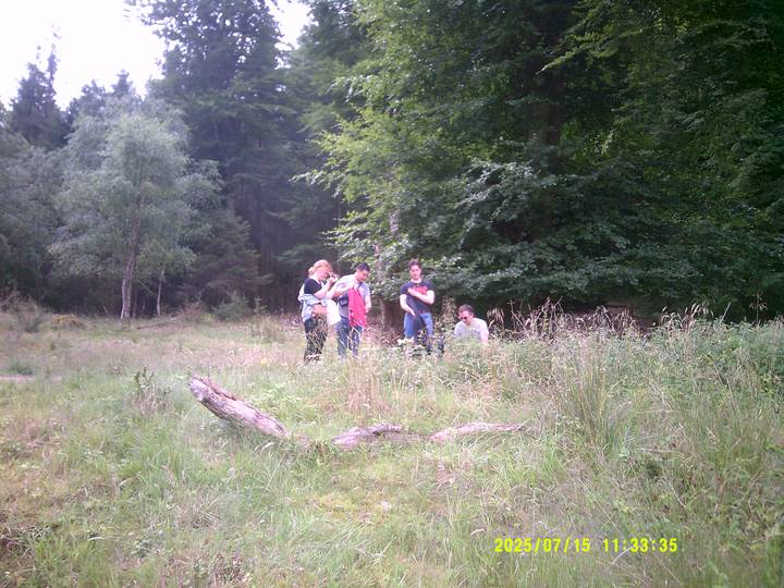 kbest/20250715113335_00