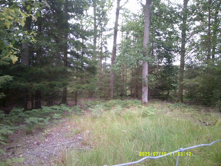 kbest/20250715115312_00