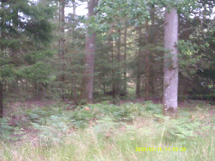 kbest/20250715115320_00