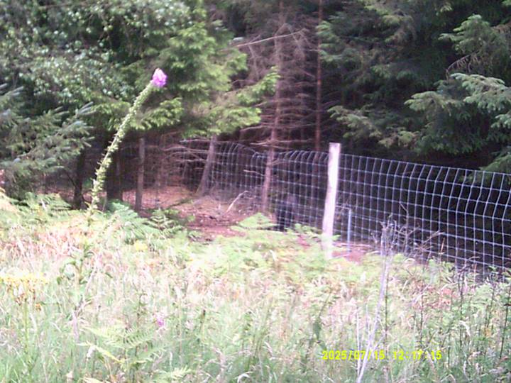 kbest/20250715121715_00