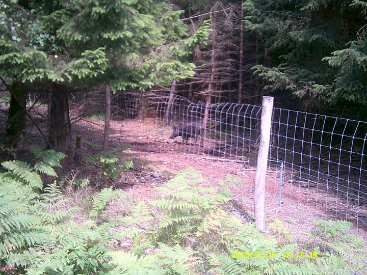 kbest/20250715121738_00