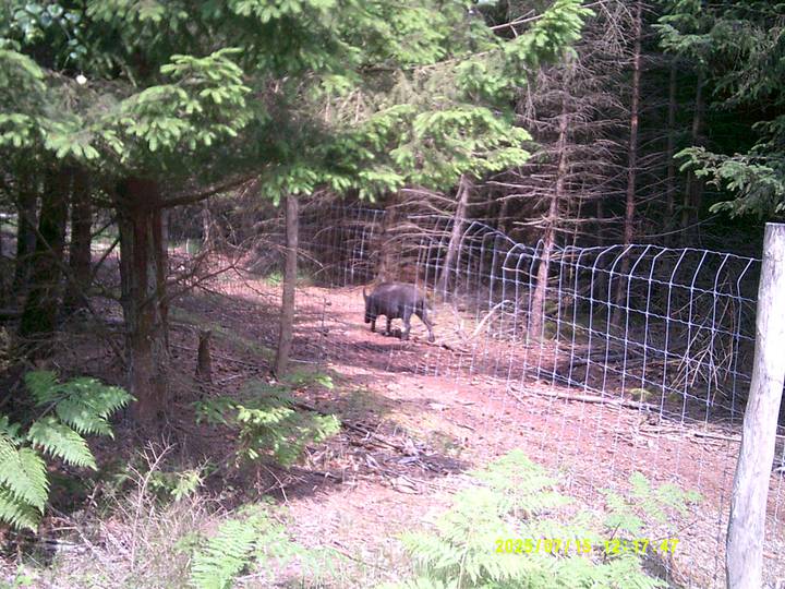 kbest/20250715121747_00