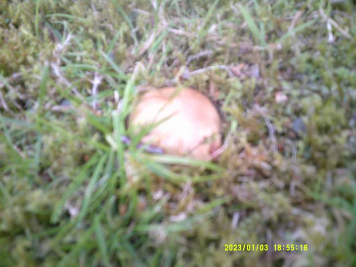 kbest/20230103185516_00