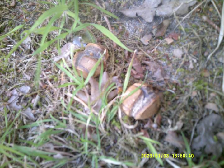 kbest/20230103185640_00