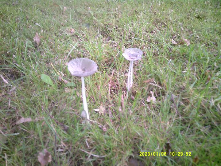 kbest/20230106102952_00