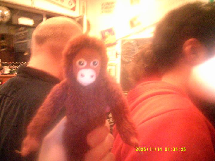 kroningsmode/20251114013425_00