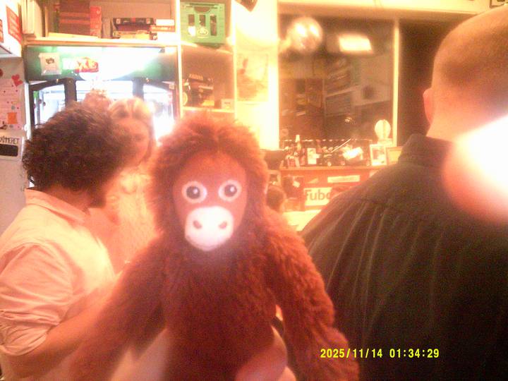 kroningsmode/20251114013429_00