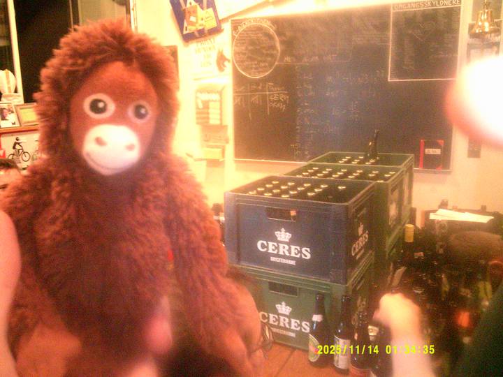 kroningsmode/20251114013435_00