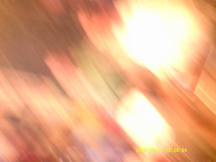 luciaoptog/20251212152604_00