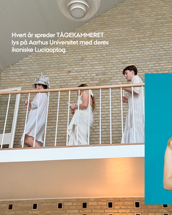 luciaoptog/lucia-optog-2