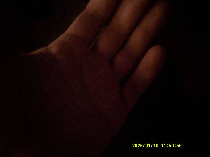 majrevy/20260110115055_00