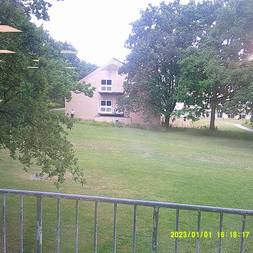 MatlaBotanisk Have