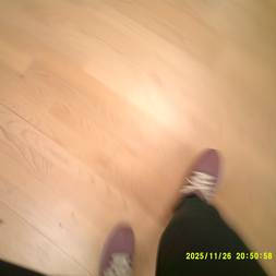 Ølsmagning m. Linds Homebrew