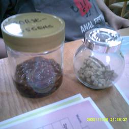 Ølsmagning m. Linds Homebrew