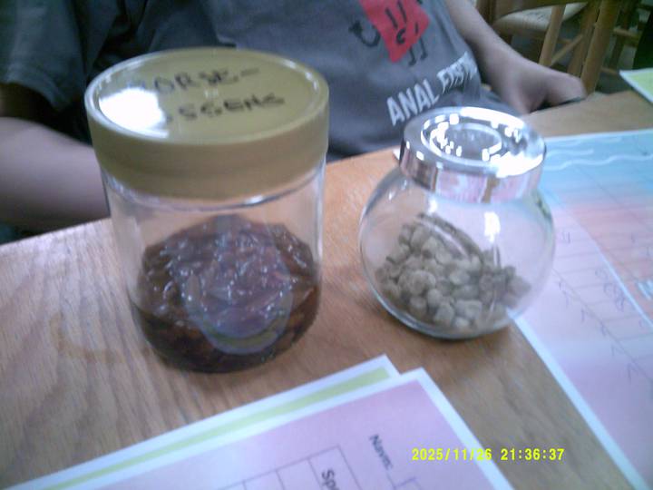 olsmagning-m-linds-homebrew/20251126213637_00