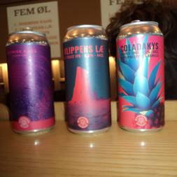 Ølsmagning m. Ølsnedkeren