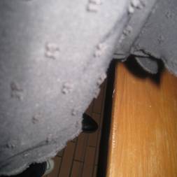 Ølsmagning m. Ølsnedkeren