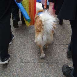 Pride 2026