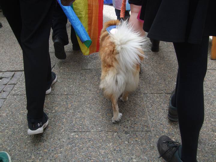 pride-2026/20070101031839_00