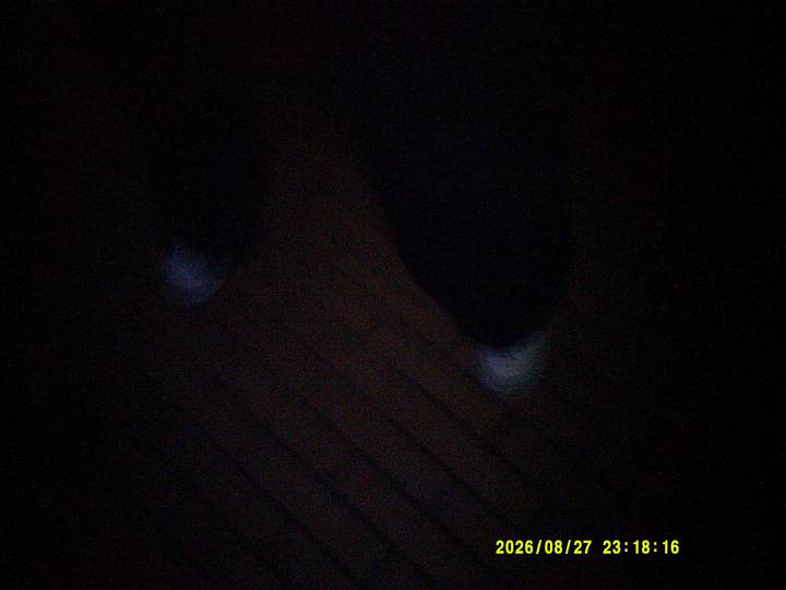 rushyg/20260827231816_00
