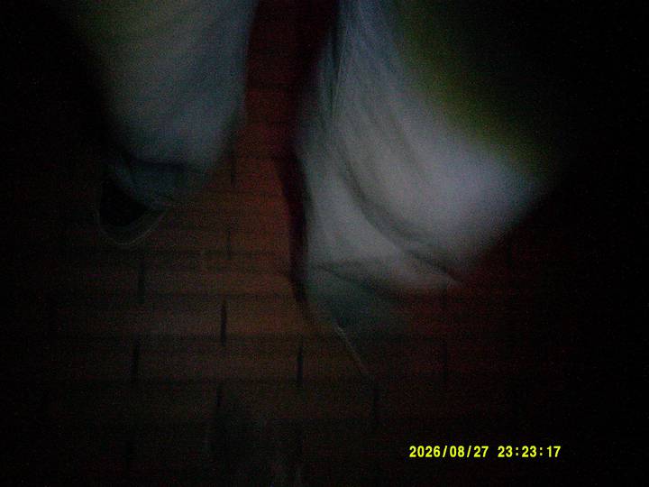 rushyg/20260827232317_00