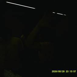 RusHyg