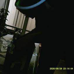 RusHyg