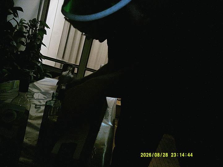 rushyg/20260828231444_00