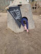 skabsbundingstur-v27/656870007_10239167178385544_5224387063743810134_n