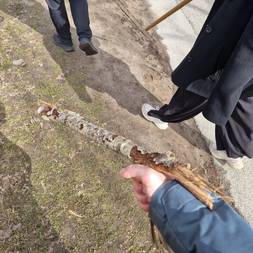 Skabsbundingstur V27