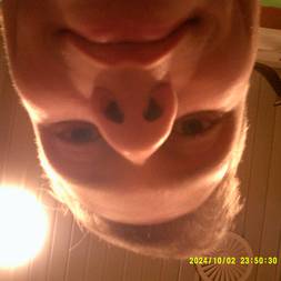 Tiltrædelsesreception