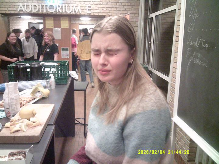 vkf/20260204214426_00